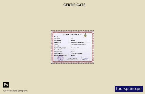 listo para imprimir plantilla PSD del certificado de defunción del registro vi 1